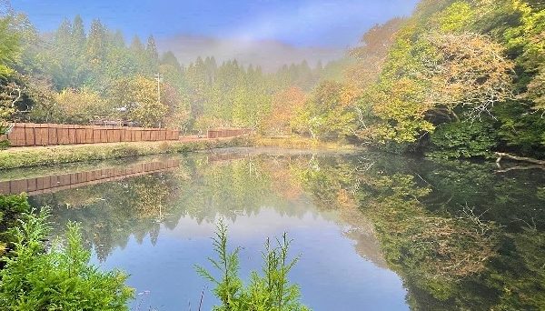 TASTE HOUSE ZEN TASTE HOUSE ZEN