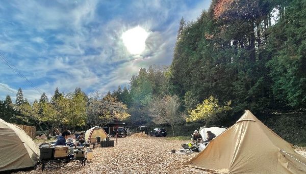 TASTE HOUSE ZEN TASTE HOUSE ZEN