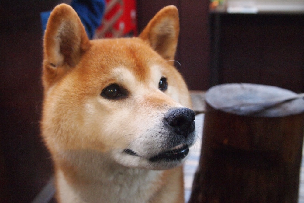 あぶくまキャンプランド