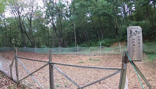 いちのせき厳美オートキャンプ場