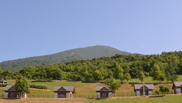 いわないリゾートパークオートキャンプ場マリンビュー