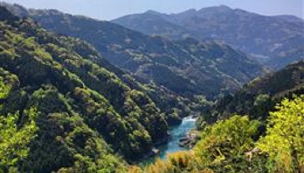 古民家宿「お山の宿みちつじ」キャンプエリア