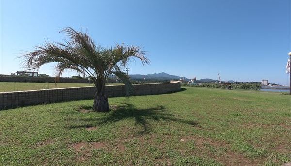 かしわざきセントラルビーチ かしわざきセントラルビーチ