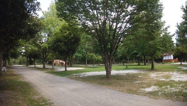 かずさオートキャンプ場 かずさオートキャンプ場