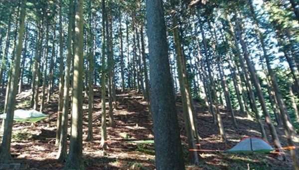 かぶとの森テラス