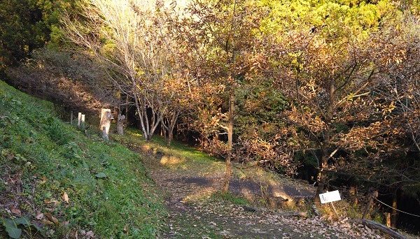 くりの木キャンプ場 くりの木キャンプ場