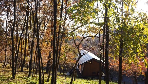 くりの木キャンプ場 くりの木キャンプ場