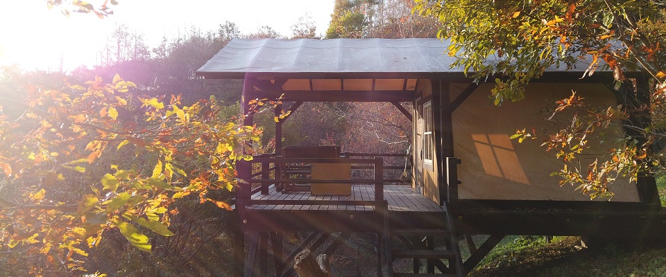 くりの木キャンプ場