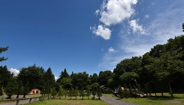 くるみの森キャンプ場