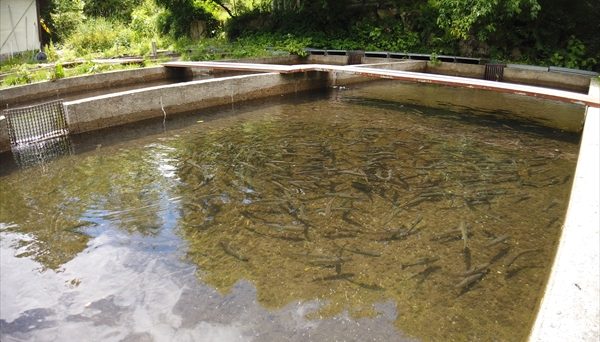 くるみ温泉＆キャンプ場