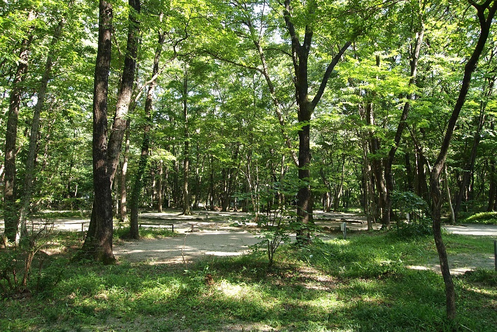 こっこランド那須fcg