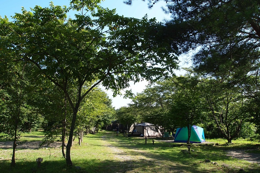 こっこランド那須fcg