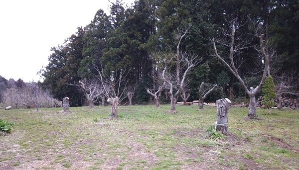 しもはじ埴輪キャンプ場