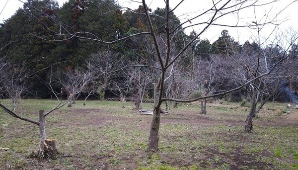 しもはじ埴輪キャンプ場