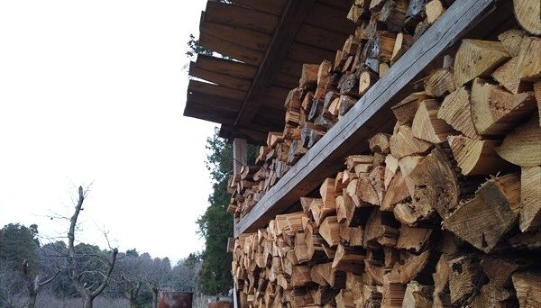 しもはじ埴輪キャンプ場