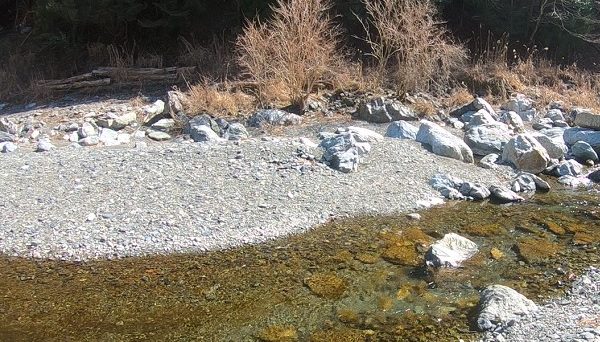 せせらぎの里オートキャンプ場