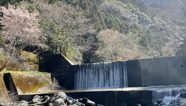 せせらぎの里オートキャンプ場