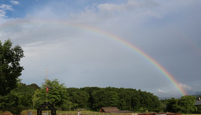 田沢湖オートキャンプ場 縄文の森たざわこ