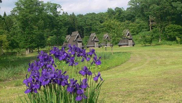 田沢湖オートキャンプ場 縄文の森たざわこ