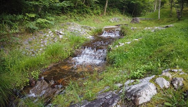 つぐ高原グリーンパーク