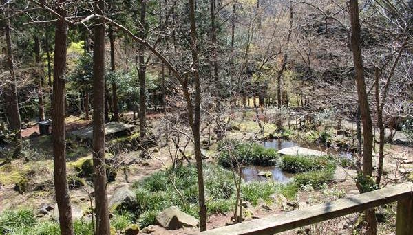 はかま滝オートキャンプ場