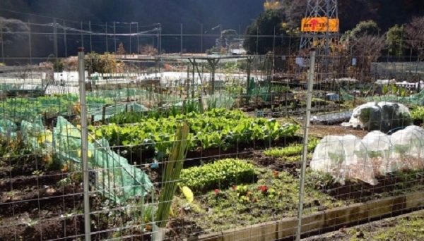 ひだまりの里オートキャンプ場