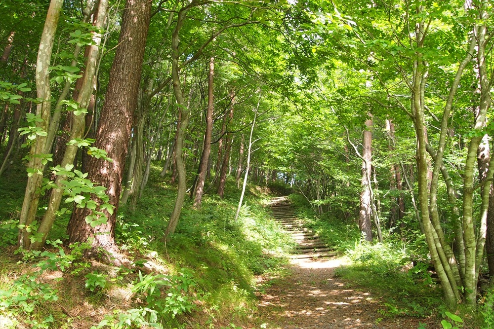 ふくしま県民の森フォレストパークあだたら