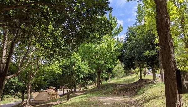 松江市宍道 ふるさと森林公園