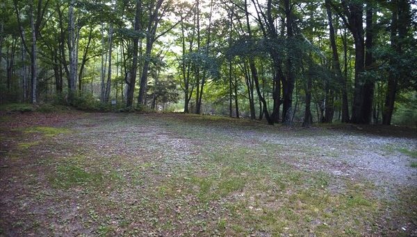 ふれあいの森キャンプ場 ふれあいの森キャンプ場