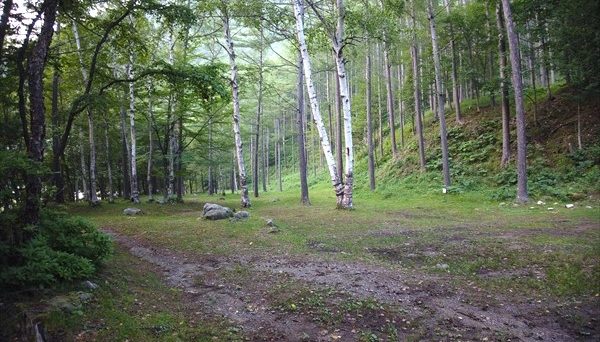 ふれあいの森キャンプ場 ふれあいの森キャンプ場