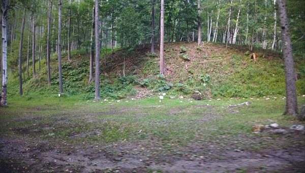 ふれあいの森キャンプ場 ふれあいの森キャンプ場