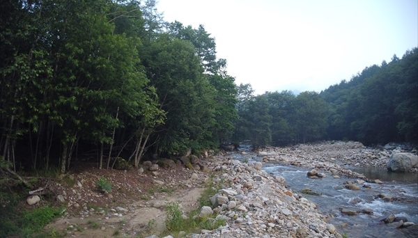 ふれあいの森キャンプ場 ふれあいの森キャンプ場