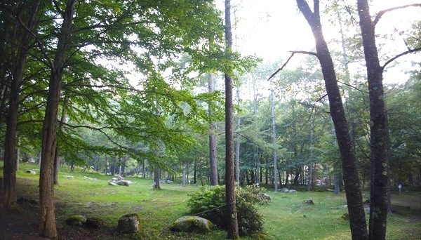 ふれあいの森キャンプ場 ふれあいの森キャンプ場