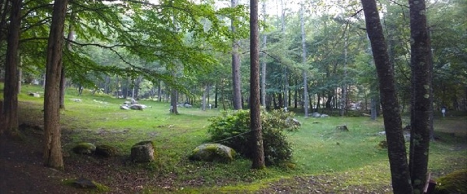 ふれあいの森キャンプ場