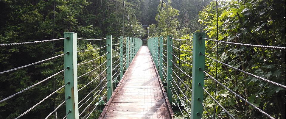 ほうれんぼうの森キャンプ場