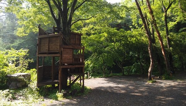 ほうれんぼうの森キャンプ場