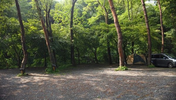 ほうれんぼうの森キャンプ場
