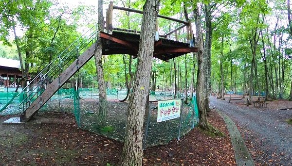 ぽよよんの森オートキャンプ場