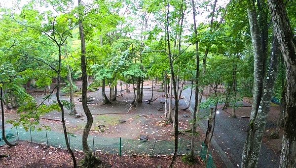 ぽよよんの森オートキャンプ場