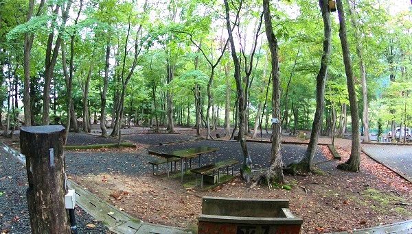 ぽよよんの森オートキャンプ場