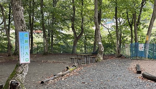 ぽよよんの森オートキャンプ場