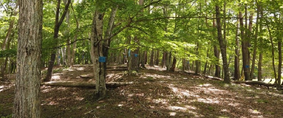 みずがき山グリーンロッジ