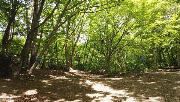 みずがき山グリーンロッジ