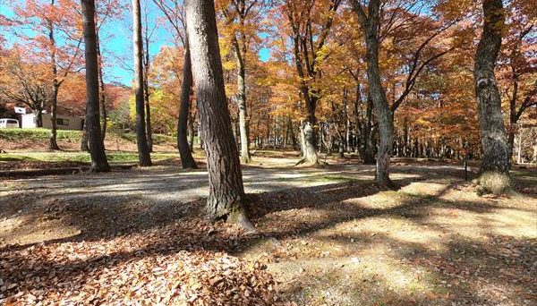 みぼろ湖畔キャンプサイト