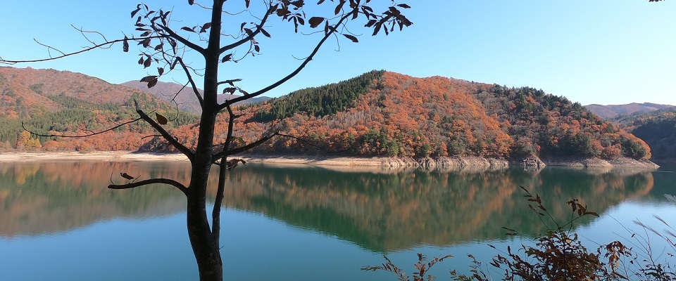 みぼろ湖畔キャンプサイト