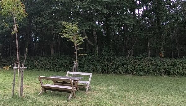 やすらぎの森オートキャンプ場