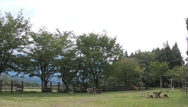 やすらぎの森オートキャンプ場