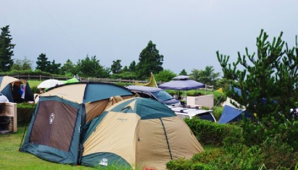 ゆとりすとパークおおとよ