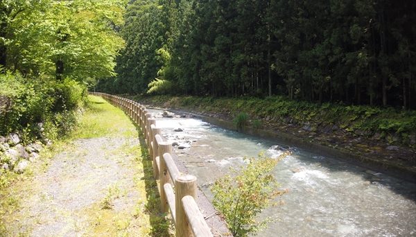 星降るみさくぼキャンプ場よつばの杜