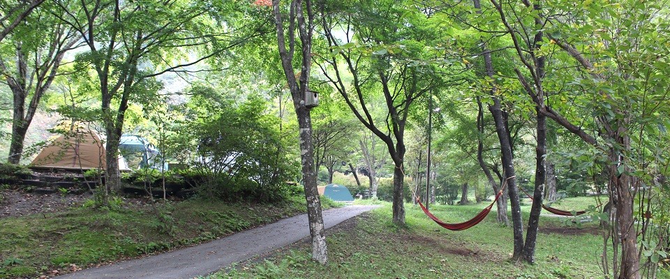 わらび平森林公園キャンプ場